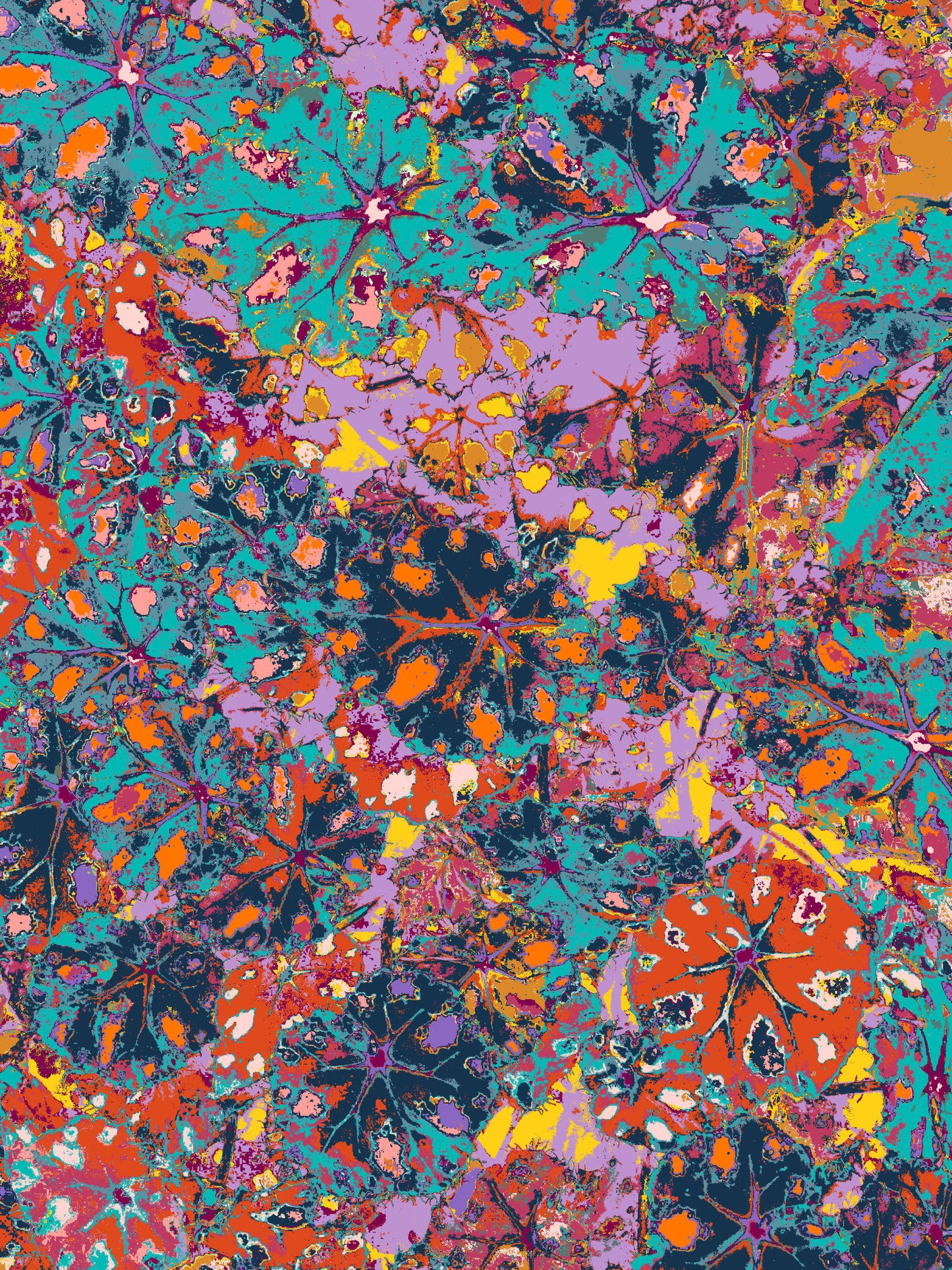 FROOTI REEF A3 ART PRINT